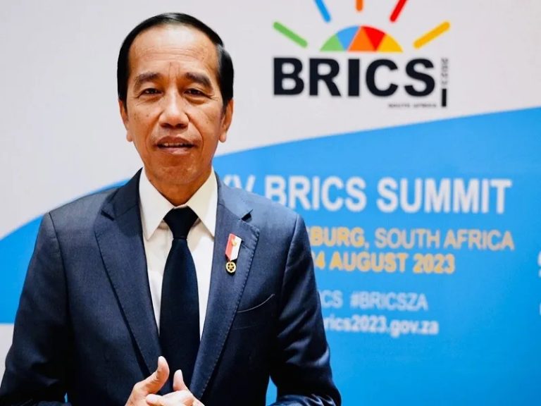 Indonesias Wait And See Approach Towards Joining Brics Naked Capitalism